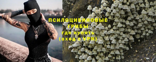 дмт Абаза