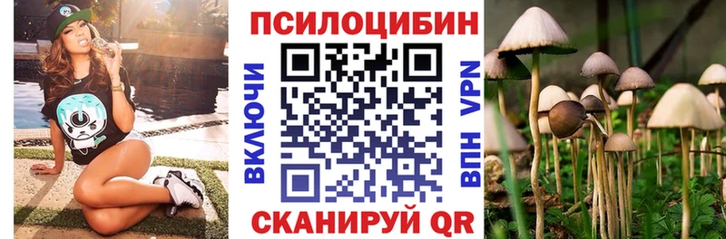 маркетплейс наркотические препараты  Зерноград  Галлюциногенные грибы Magic Shrooms 