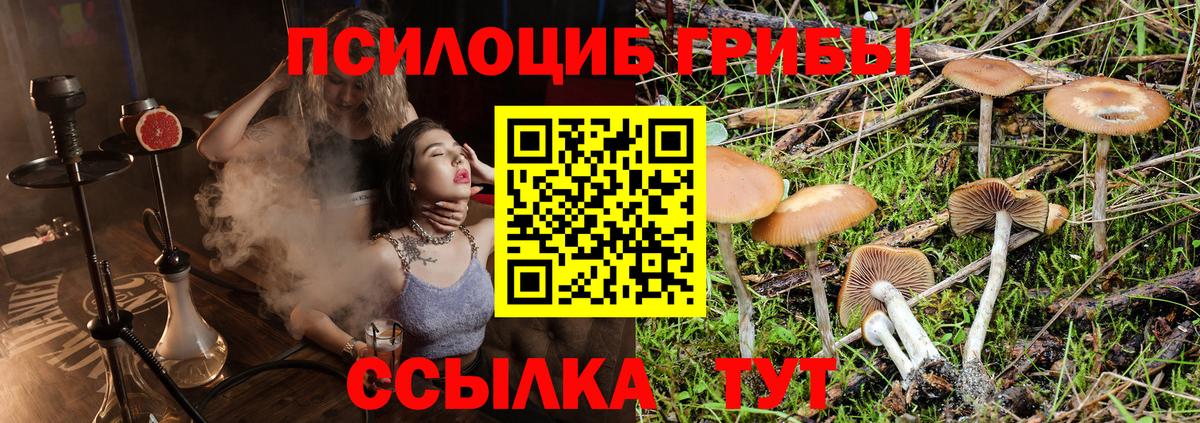 Псилоцибиновые грибы прущие грибы  Вход с VPN  Галлюциногенные грибы Magic Shrooms  Зерноград 