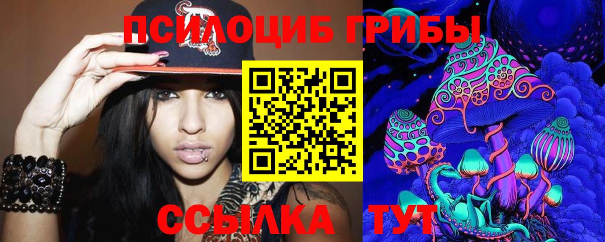 Галлюциногенные грибы Psilocybe Зерноград