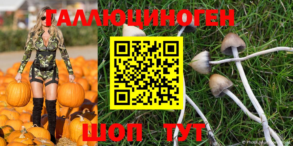 Галлюциногенные грибы Cubensis  Зерноград  Псилоцибиновые грибы мухоморы 