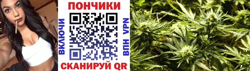 Шишки марихуана Bruce Banner Зерноград